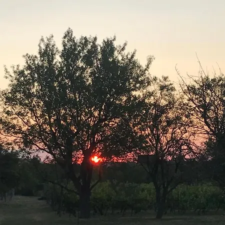 Nadaskuti Haz * Csopak