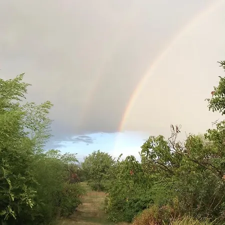 Semesterbostad Nadaskuti Haz