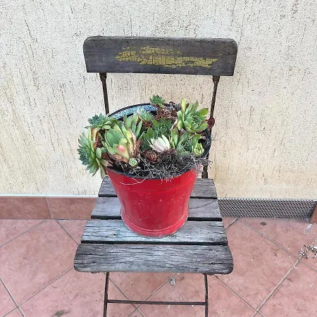 Prázdninový dům Nadaskuti Haz Csopak