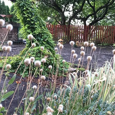 Nadaskuti Haz * Csopak