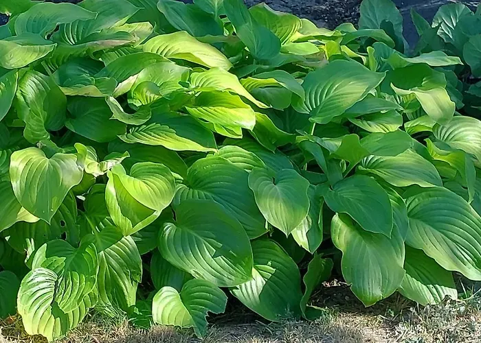 別荘 Nadaskuti Haz