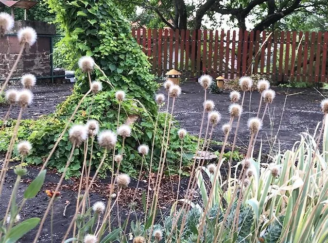 Nadaskuti Haz * チョパク